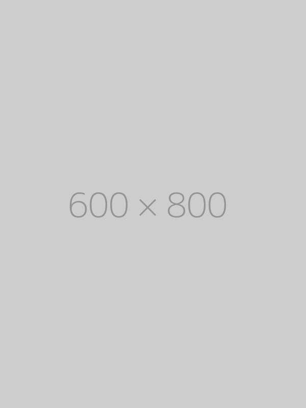 hongo-600×800-ph